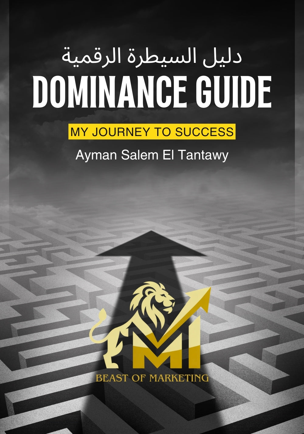 لا تملك الوقت لقراءة المجلدات؟ إليك الدليل العملي المكثف للسيطرة على السوق الرقمي في خطوات معدودة.